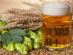 Beer production 150% per week