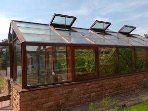 Business plan for a greenhouse: 7 important points